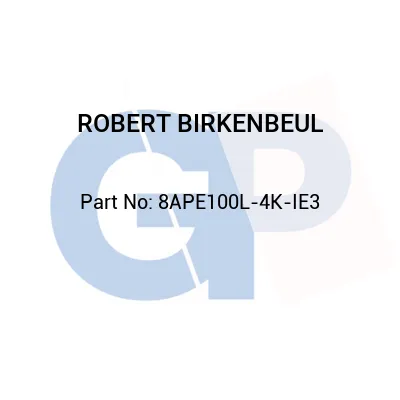 ROBERT BIRKENBEUL 8APE100L-4K-IE3